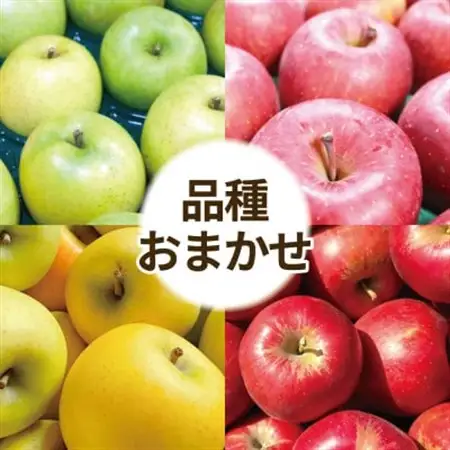 【訳あり】青森県産りんご 品種おまかせ お試しサイズ 約2kg【配送不可地域：離島・沖縄県】【1716456】