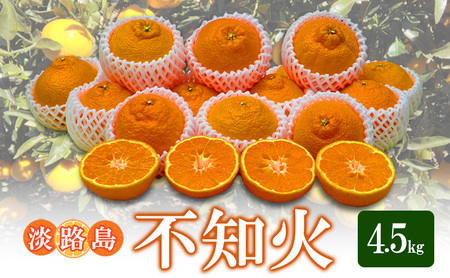 不知火 4.5Kg しらぬい 果物 フルーツ 旬 柑橘 柑橘類 旬のフルーツ 季節のフルーツ 淡路島 洲本市　お届け：2027年3月上旬～2027年3月下旬まで