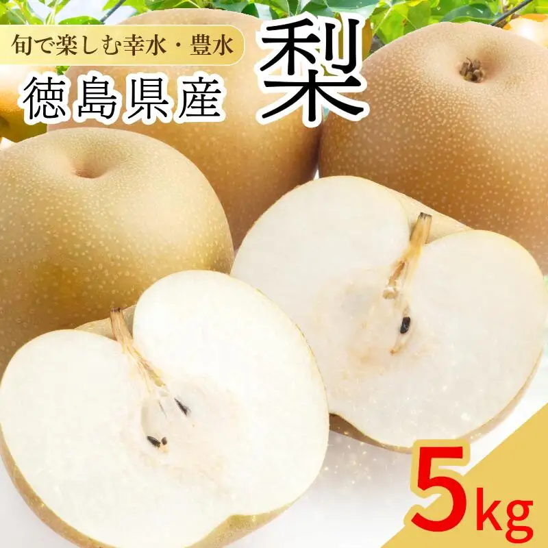 【8月上旬から9月上旬まで発送】 梨 5kg 豊水 幸水 国産