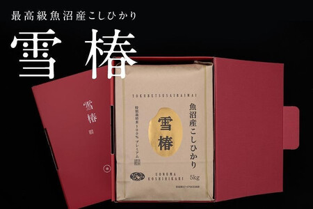 魚沼産コシヒカリ 雪椿  5kg×1袋 特別栽培米 化粧箱入り  | 魚沼 津南町 令和7年