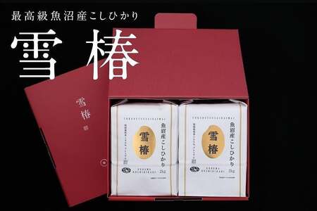 魚沼産コシヒカリ 雪椿 2kg×2袋 化粧箱入り 特別栽培米 ギフト  | 魚沼 津南町 令和7年