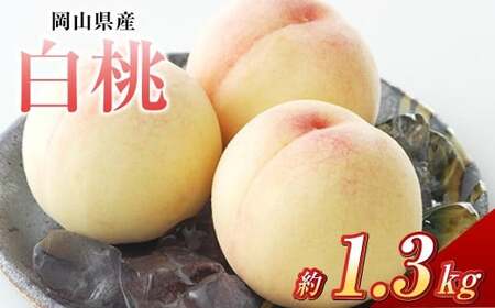 白桃 5玉（合計約1.3kg）果物 デザート スイーツ フルーツ 果肉 美味しい 甘い 柔らかい 上品【2026年7月上旬～7月下旬迄順次発送予定】