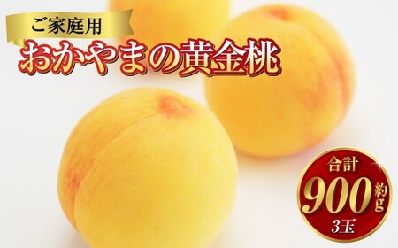 《ご家庭用》おかやまの黄金桃（大玉）3玉（合計約900g） もも 桃 黄金桃 岡山県産 国産 フルーツ スイーツ 大玉 果肉 美味しい 甘い 柔らかい 岡山県 倉敷市 【2026年8月下旬～9月下旬発送予定】