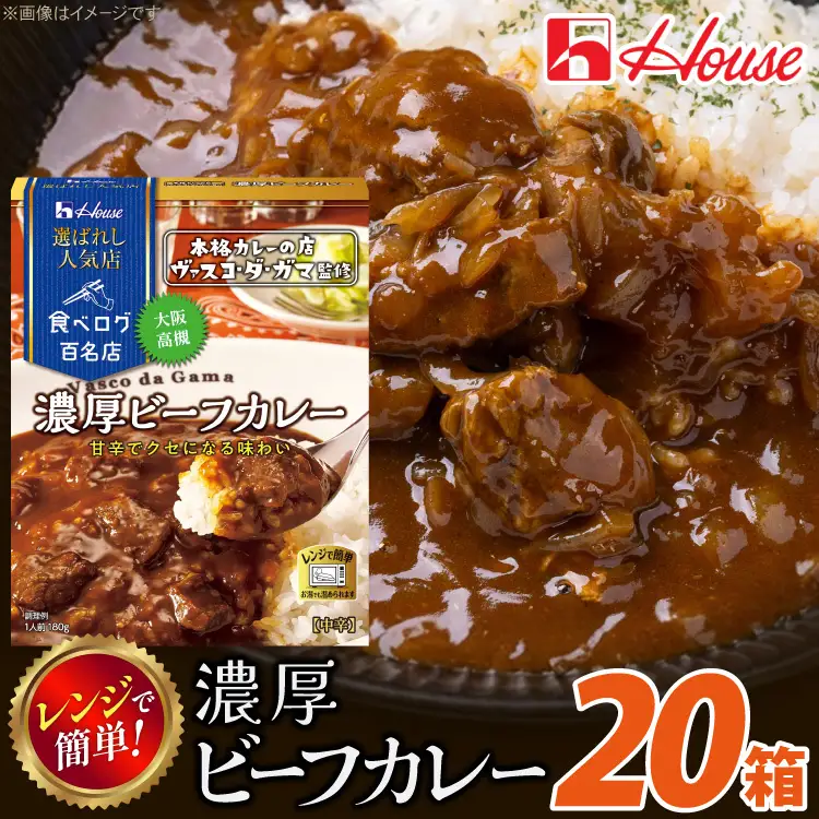ハウス 選ばれし人気店 濃厚ビーフカレー 20個 [翔栄通商 愛知県 江南市 ko23btu570032]