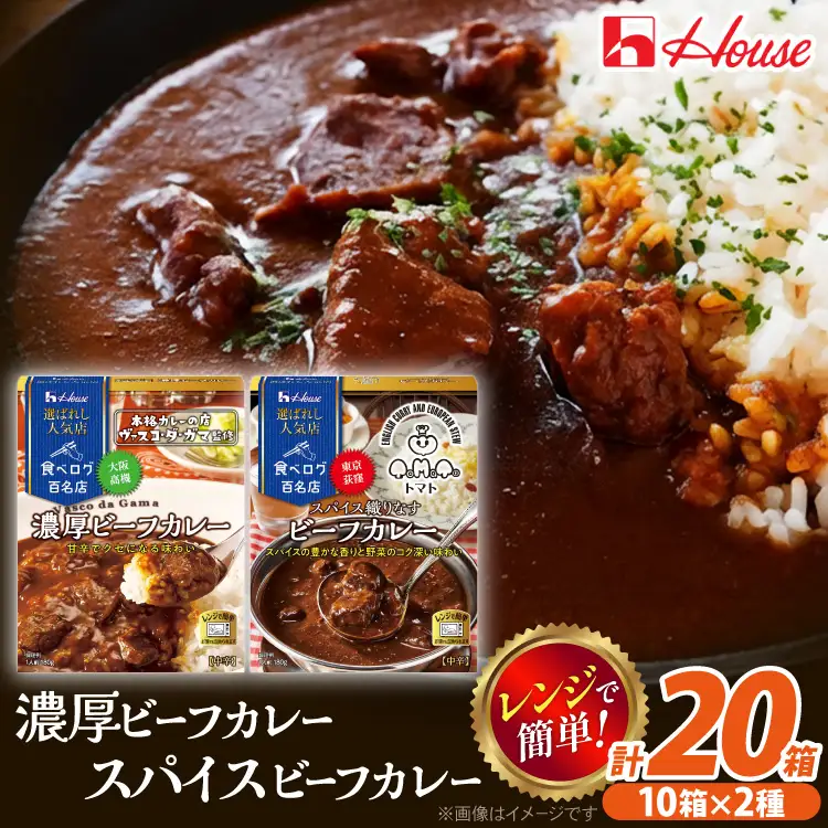 選ばれし人気店 濃厚ビーフカレー＆スパイス織りなすビーフカレー 各10個  計20個 [翔栄通商 愛知県 江南市 ko23btu570047]