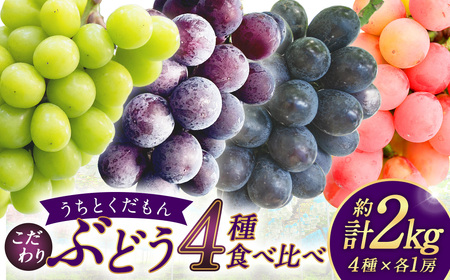 【うちとくだもん】 のこだわりぶどう ぶどう 4種食べ比べセット 各1房 計4房 約2kg 【2026年10月上旬～11月下旬まで順次発送予定】