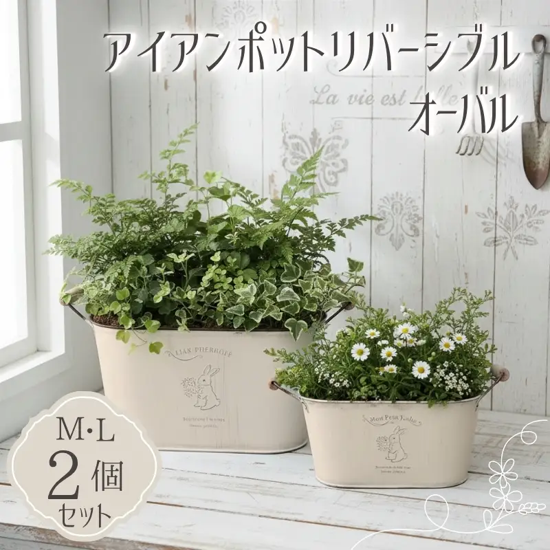 アイアンポット リバーシブル オーバル M L 2個セット