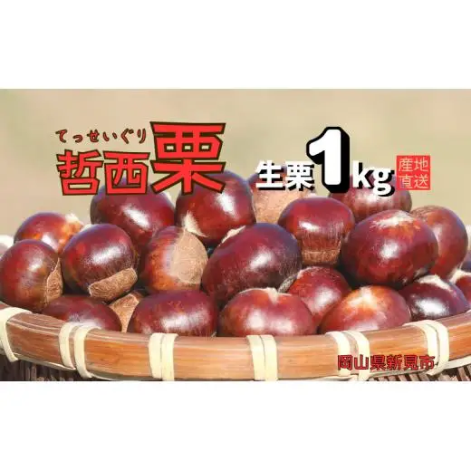 哲西栗（生栗）1kg 【先行予約 2026年10月から順次発送】