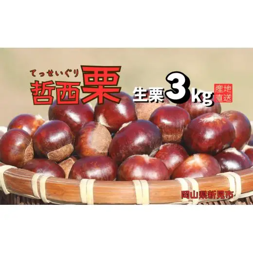 哲西栗（生栗）3kg 【先行予約 2026年10月から順次発送】