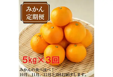 【8006-1】厳選みかん定期便5kg　3回（10月、11月、12月）《先行予約》固定月にお届け予定