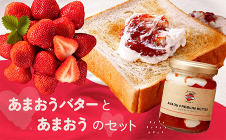 AB381.【予約受付】「あまおうバター」と「あまおう」のセット／2027年2月～4月発送予定