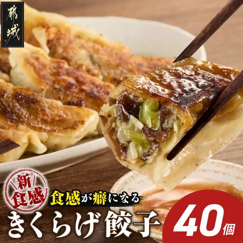 食感が癖になる!きくらげ餃子40個〔LG-87-001-40〕