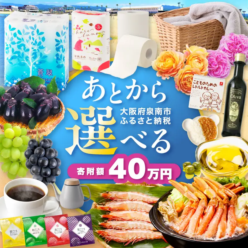 あとからセレクト【ふるさとギフト】40万円【119A-005】