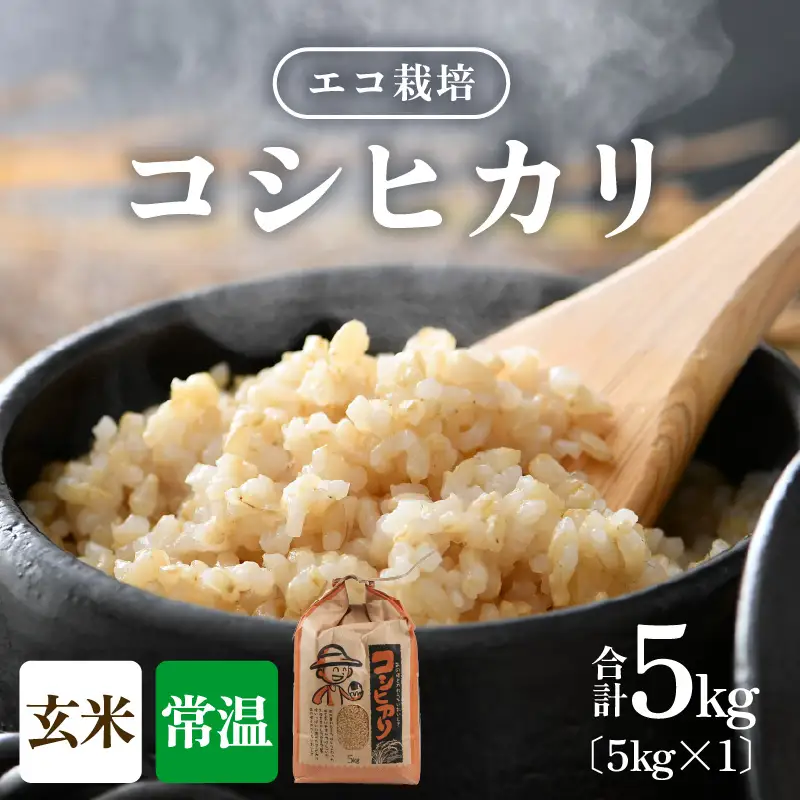 【先行予約】【令和8年産 新米】エコ栽培コシヒカリ　玄米5kg ／ 鮮度抜群 福井県産 こしひかり ご飯 新鮮 玄米 ※2026年10月上旬以降順次発送 [aw063-a013]