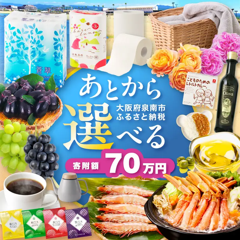 あとからセレクト【ふるさとギフト】70万円【119A-008】