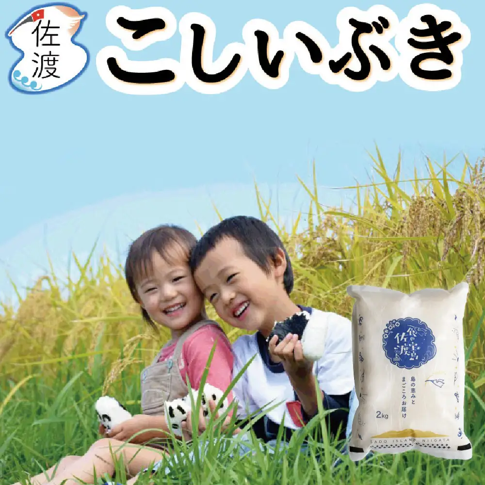 佐渡島産こしいぶき 白米4Kg（2Kg×2袋） 令和7年産【食の宝島佐渡】