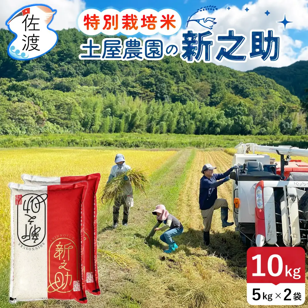 佐渡島産新之助 白米10Kg（5Kg×2袋） 土屋農園 特別栽培米 令和7年産【食の宝島佐渡】