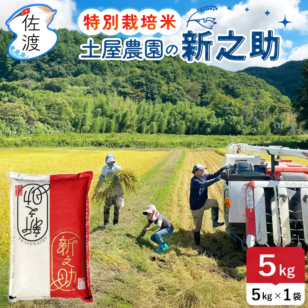 佐渡島産新之助 無洗米5Kg（5Kg×1袋） 土屋農園 特別栽培米 令和7年産【食の宝島佐渡】