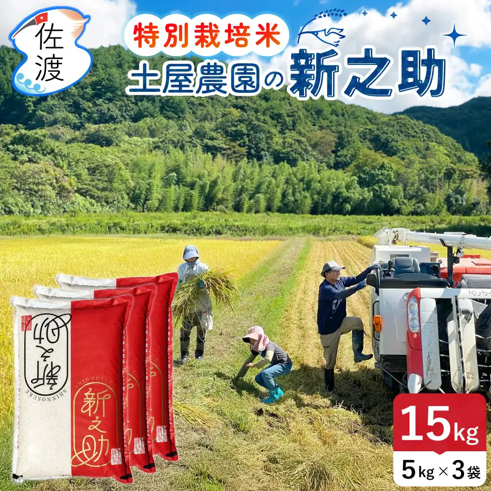 佐渡島産新之助 無洗米15Kg（5Kg×3袋） 土屋農園 特別栽培米 令和7年産【食の宝島佐渡】