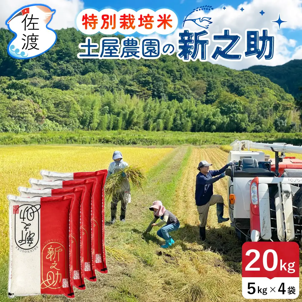 佐渡島産新之助 無洗米20Kg（5Kg×4袋） 土屋農園 特別栽培米 令和7年産【食の宝島佐渡】