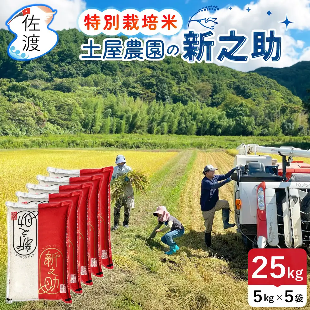 佐渡島産新之助 無洗米25Kg（5Kg×5袋） 土屋農園 特別栽培米令和7年産【食の宝島佐渡】