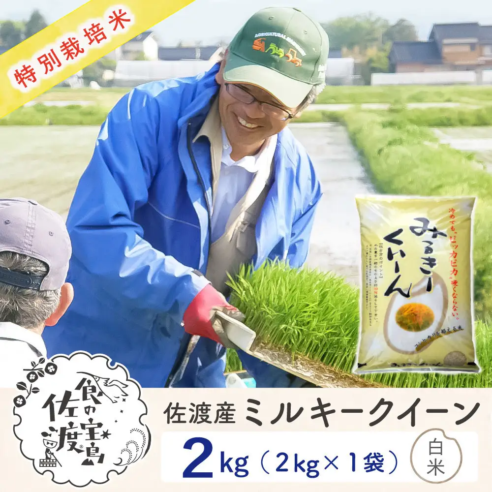 佐渡島産ミルキークイーン 白米2Kg 令和7年産 特別栽培米
