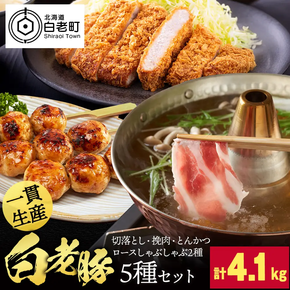 北海道産 白老豚 5種セット 合計4.1kg BV098