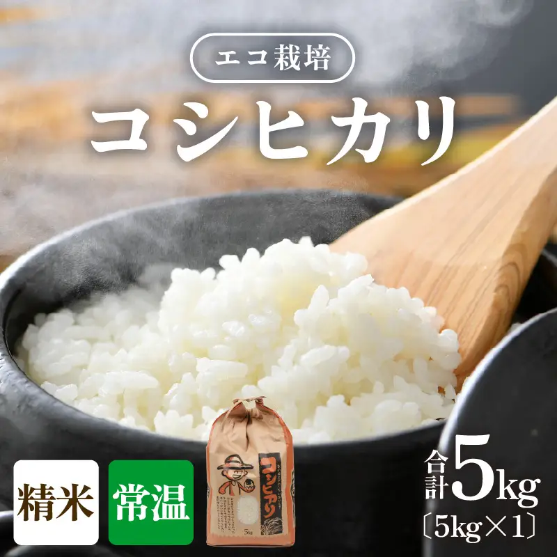 【先行予約】【令和8年産 新米】エコ栽培コシヒカリ　白米5kg ／ 鮮度抜群 福井県産 こしひかり ご飯 新鮮 白米 ※2026年10月上旬以降順次発送 [aw063-a014]