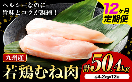 【12ヶ月定期便】 九州産若鶏ムネ肉 600g×7袋×12回 計50.4kg 鶏肉 お肉 ムネ肉 むね肉 小分け 冷凍 九州産 国産 熊本県 菊池市 送料無料《お申込み翌月から出荷》