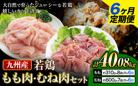 【6ヶ月定期便】 九州産若鶏もも肉（310g×8袋）・むね肉（600g×7袋）セット  鶏肉 お肉 モモ肉 もも肉 ムネ肉 むね肉 2種類 小分け 冷凍 九州産 国産 熊本県 菊池市 送料無料《お申込み翌月から出荷》