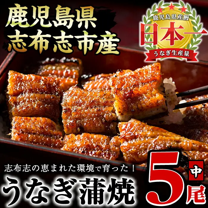 うなぎの大楠＜中＞5尾セット計650g(130g×5) うなぎ 鰻 ウナギ 5尾 国産 九州産 蒲焼き かばやき 冷凍 うな重 ひつまぶし タレ 山椒 真空パック ランキング 人気 c0-094
