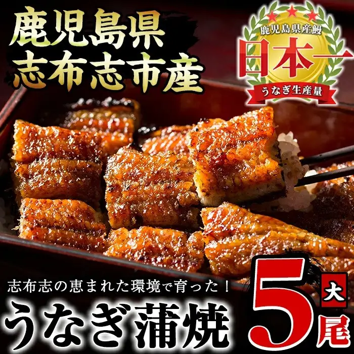 うなぎの大楠＜大＞5尾セット計750g(150g×5) うなぎ 鰻 ウナギ 5尾 国産 九州産 蒲焼き かばやき 冷凍 うな重 ひつまぶし タレ 山椒 真空パック ランキング 人気 c4-009