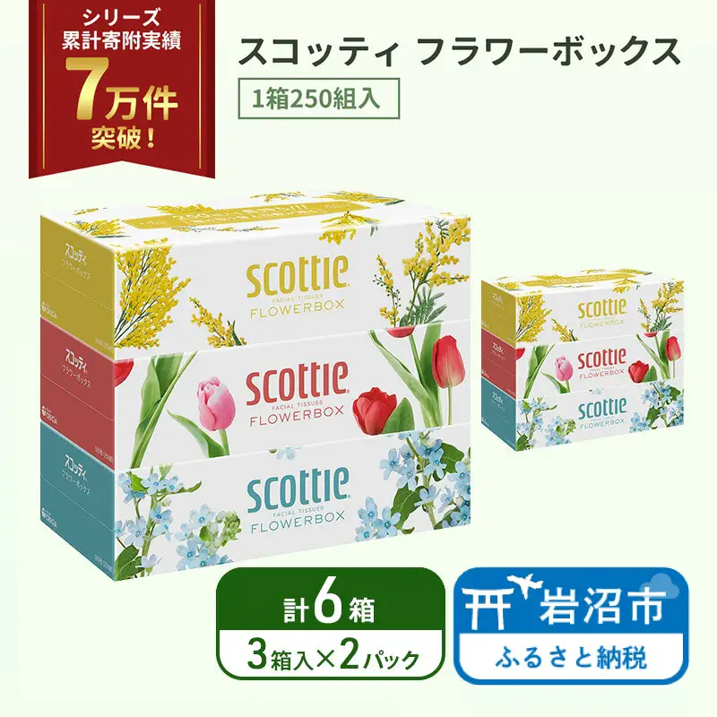 ティッシュ スコッティ フラワーボックス 6箱 ( 3箱 × 2パック )