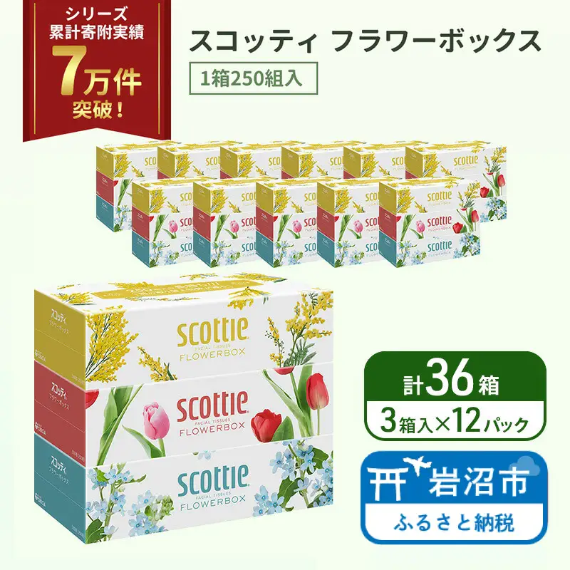 ティッシュ スコッティ フラワーボックス 36箱 ( 3箱 × 12パック )