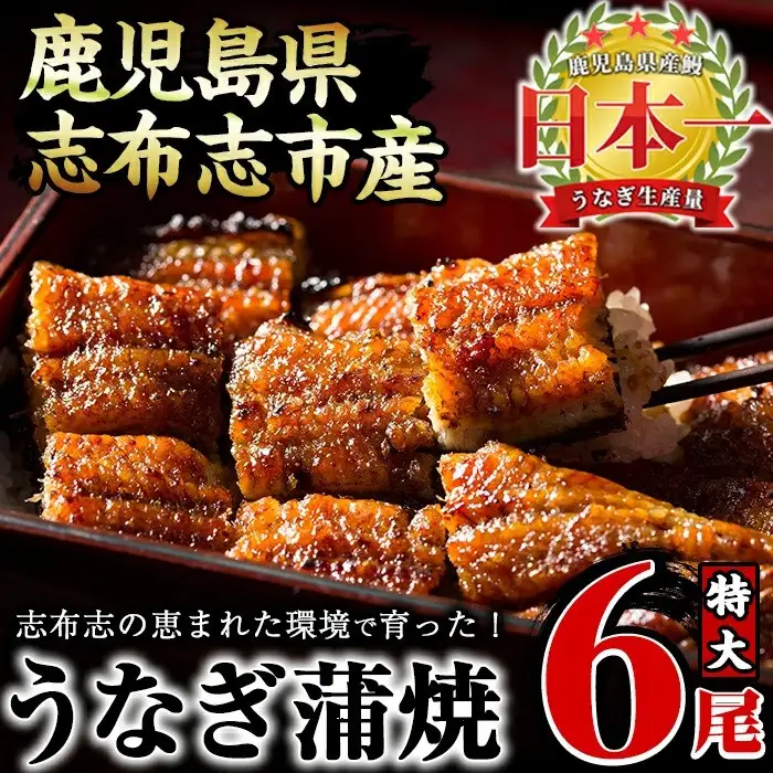 大楠 うなぎ 蒲焼  特大 6尾 セット(計1kg超) d5-001