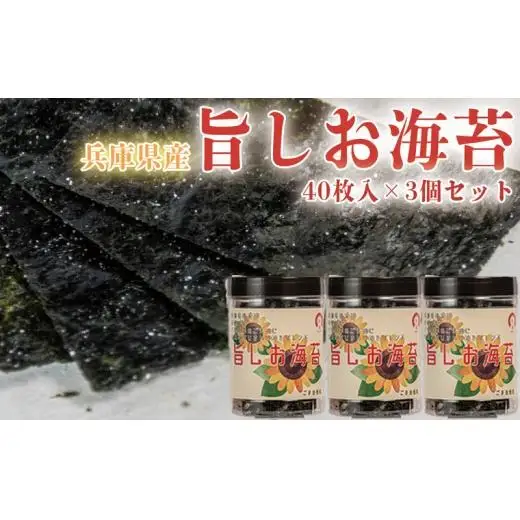 兵庫県産旨しお海苔 40枚入×3個セット