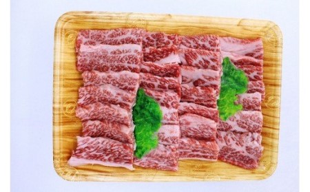 【A5ランク】博多和牛焼肉用(バラ）500g[H2165]
