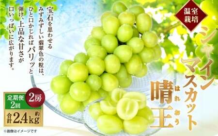 [HS]【2回定期便】温室 シャインマスカット 晴王 2房（合計約1.2kg）【2026年7月上旬～8月下旬発送予定】マスカット 葡萄 ぶどう ブドウ フルーツ 果物 くだもの デザート 冷蔵 岡山県 倉敷市