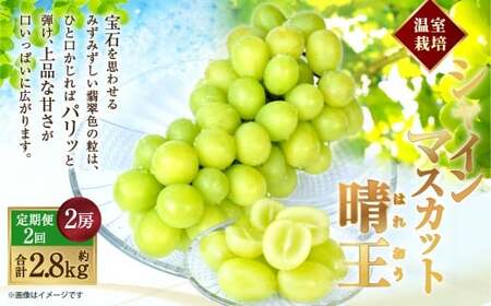 [HS]【2回定期便】温室 シャインマスカット 晴王 2房（合計約1.4kg）【2026年7月上旬～8月下旬】マスカット 葡萄 ぶどう ブドウ フルーツ 果物 くだもの デザート 冷蔵 岡山県 倉敷市