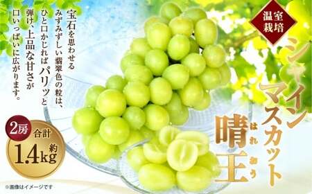 [HS]温室 シャインマスカット 晴王 2房 約1.4kg【2026年7月上旬～8月下旬発送予定】マスカット 葡萄 ぶどう ブドウ フルーツ 果物 くだもの デザート 冷蔵 岡山県 倉敷市