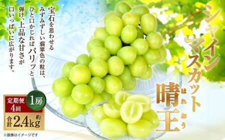 [HS]【4回定期便】温室・露地 シャインマスカット 晴王 1房 約600g【2026年7月上旬～10月下旬発送予定】マスカット 葡萄 ぶどう ブドウ フルーツ 果物 くだもの デザート 冷蔵 岡山県 倉敷市