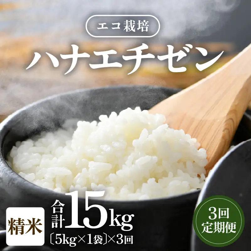 【先行予約】【令和8年産 新米】 エコ栽培ハナエチゼン　白米5kg×3回 計15kg ／ 鮮度抜群 福井県産 はなえちぜん ご飯 新鮮 白米 ※2026年9月上旬以降順次発送予定 [aw063-c012]