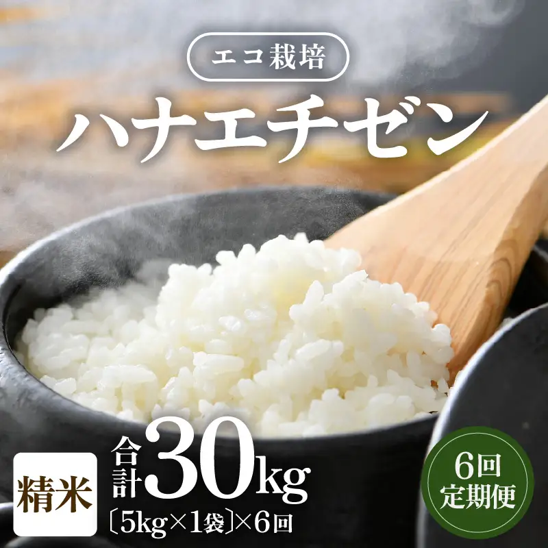 【先行予約】【令和8年産 新米】 エコ栽培ハナエチゼン  白米5kg×6回 計30kg ／ 鮮度抜群 福井県産 はなえちぜん ご飯 新鮮 白米 ※2026年9月上旬以降順次発送予定 [aw063-f007]