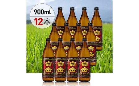球磨焼酎 「 白岳全麹 900ml 」 12本 焼酎 お酒 酒 アルコール 米焼酎 白岳 全麹仕込
