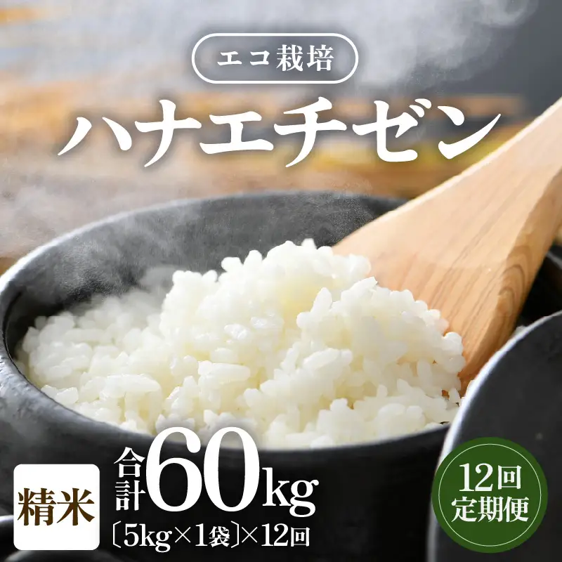 【先行予約】【令和8年産 新米】エコ栽培ハナエチゼン  白米5kg×12回 計60kg ／ 鮮度抜群 福井県産 はなえちぜん ご飯 新鮮 白米 ※2026年9月上旬以降順次発送予定 [aw063-k007]