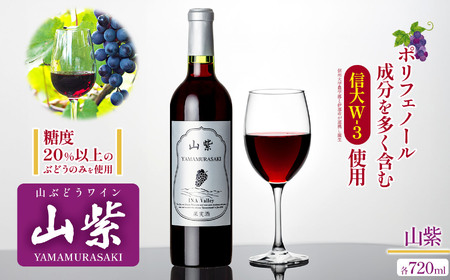 ワイン 日本ワイン やまぶどうワイン 山紫 720ml 1本 長野県 伊那市【012-70】