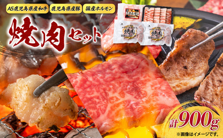 【 A5和牛 ・ 豚 ・ ホルモン 】焼肉セット900g K002-055 豚肉 豚バラ 牛肉 黒毛和牛