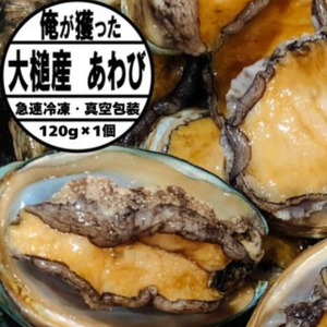 【2026年11月～発送】三陸産天然活 アワビ 120g相当×1個【冷凍】【35】｜三陸 岩手県 大槌町 あわび 人気 鮑 刺身 いわて iwate 2026 初栄丸 