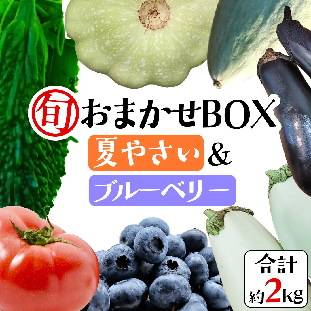 夏野菜 と ブルーベリー の おまかせBOX 計 約2kg ｜ 野菜 果実 果物 おまかせ 旬 新鮮 大容量 くだもの フルーツ おやつ ブルーベリー ベリー ジャム 小分け セット 詰め合わせ 詰合せ 夏バテ [DZ019sa]