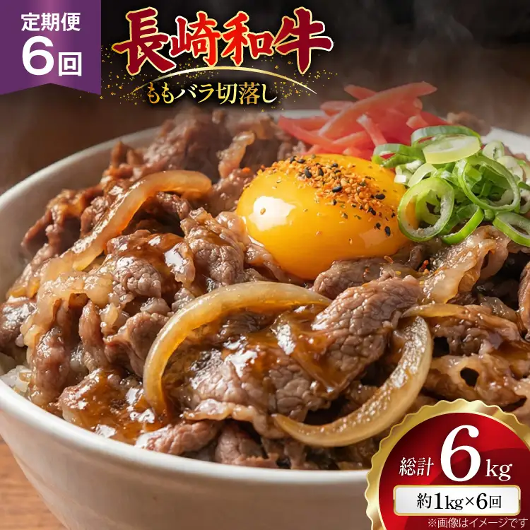 AJ578 【6回定期便】長崎和牛 切り落とし (もも・バラ) 約1kg (500g×2P)   [ まるしん商会 長崎県 島原市 ]